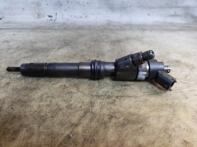 Injector 0445120011