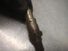 04E906262GH VAG/Audi