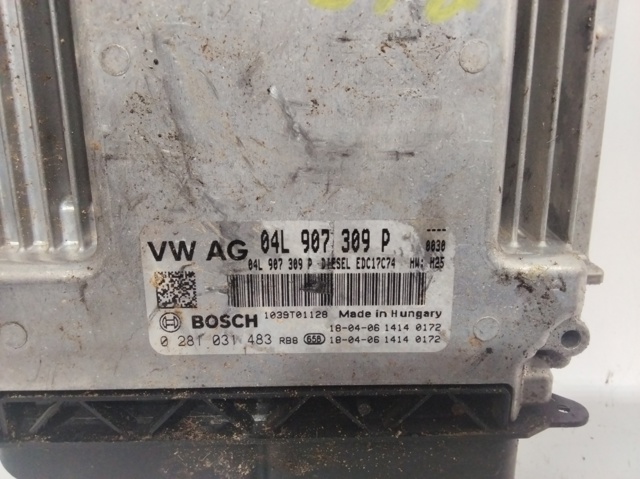 VAG 04L907309P Блок управления двигателем в наличии Сумы