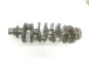Cambota de motor Fiat Ducato 3 250