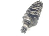 Cambota de motor Fiat Ducato 3 250