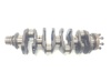 Cambota de motor Fiat Ducato 3 250