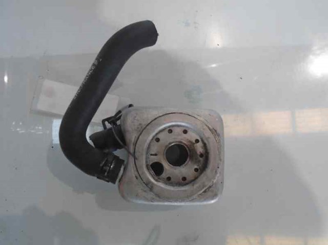 Enfriador aceite motor para audi a3 (8l1) (1997-2001) 1.6 avu 078117021A