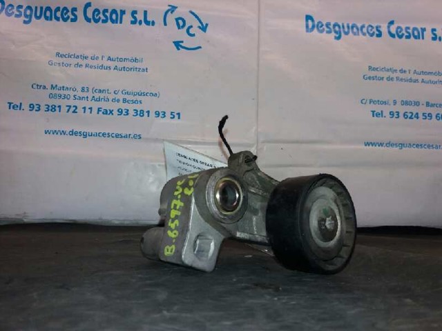 Rolo de reguladora de tensão da correia do mecanismo de distribuição de gás 082959 PEUGEOT