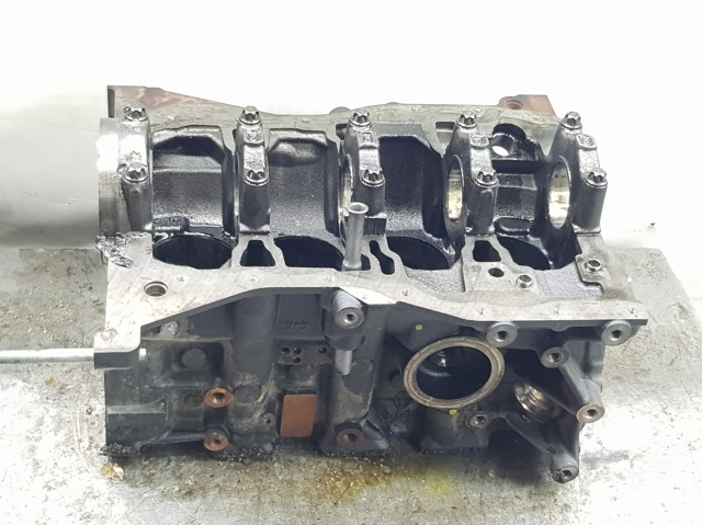 Bloco de cilindros de motor 110104767R Renault (RVI)