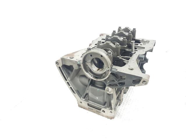 Bloco de cilindros de motor 110104767R Renault (RVI)