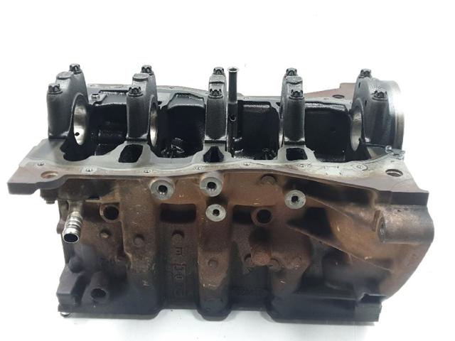 110109529R RENAULT Блок цилиндров двигателя купить в Ровно