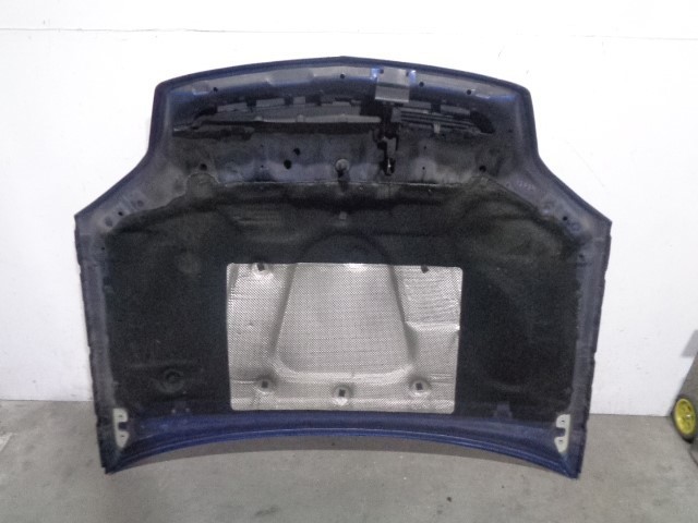 1160003 OPEL Капот купить в Ужгород
