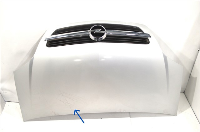 1160006 OPEL Капот купить в Ровно