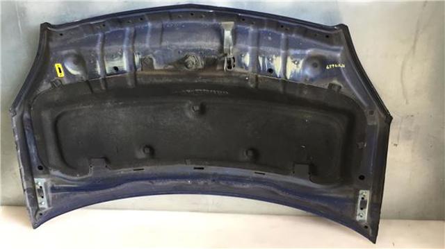 1160008 OPEL Капот купить в Ужгород