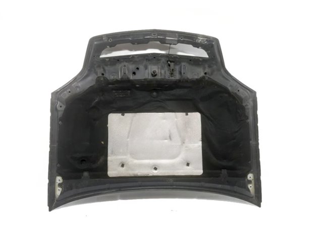 1160009 OPEL Капот купить в Львов
