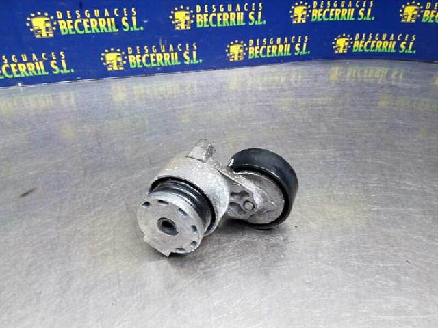 Correia auxiliar tensionadora para Renault Megane II (BM0/1_,BM0/1_) (2002-2008) 1.5 dCi (bm0f,bm0t,bm2b,cm0f,cm0t) k9k d7 117503662R