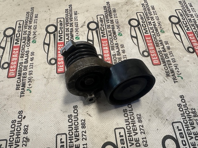 RENAULT 117504048R Натяжной ролик в наличии Черкассы