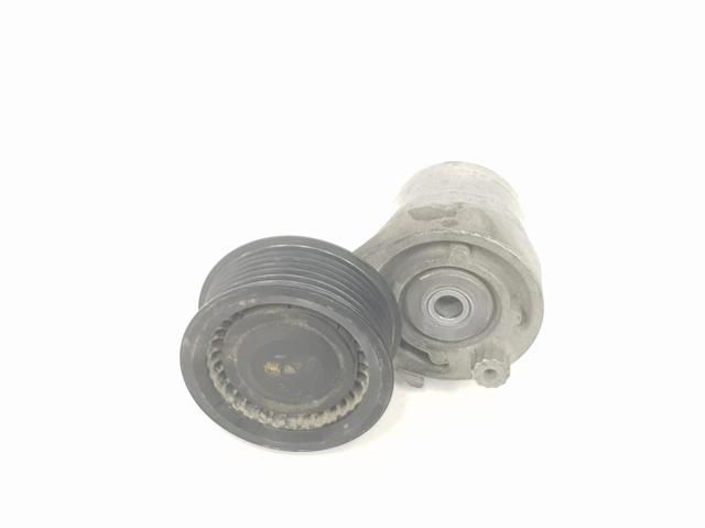 117507306R Renault (RVI)