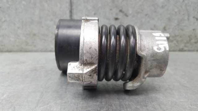 RENAULT 117509654R Натяжитель приводного ремня в наличии Запорожье
