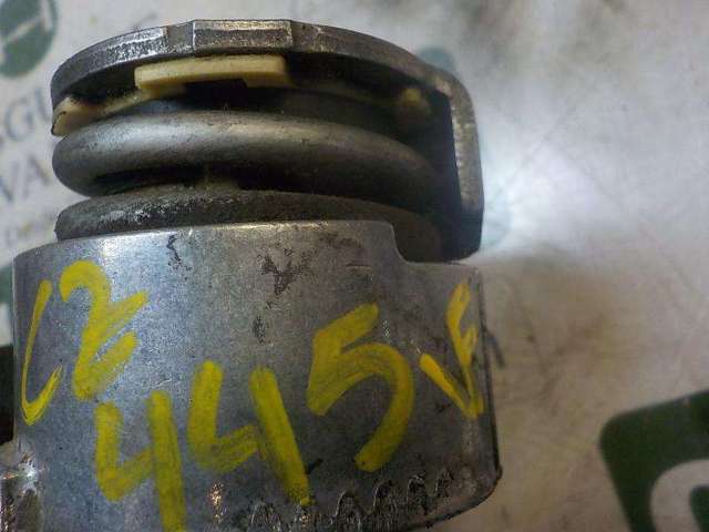 RENAULT 117509654R Натяжитель приводного ремня в наличии Запорожье