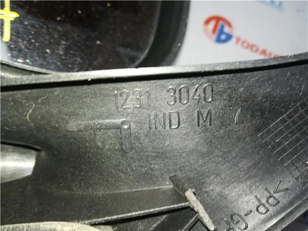 RENAULT 12313040 Левое боковое зеркало в наличии Днепр