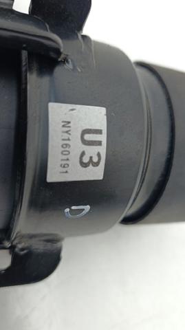 Coxim (suporte) dianteiro de motor Toyota Rav4 A5, H5