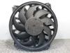 Ventilador elétrico de esfriamento montado (motor + roda de aletas) esquerdo 1253Q8 PEUGEOT