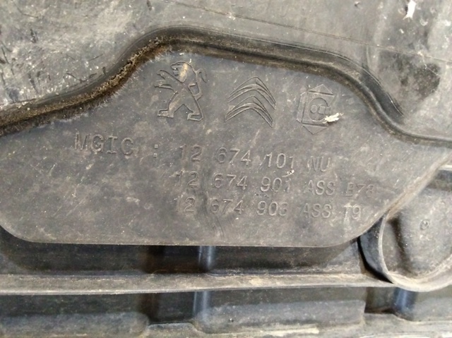 12674101 PEUGEOT купить в Ирпень