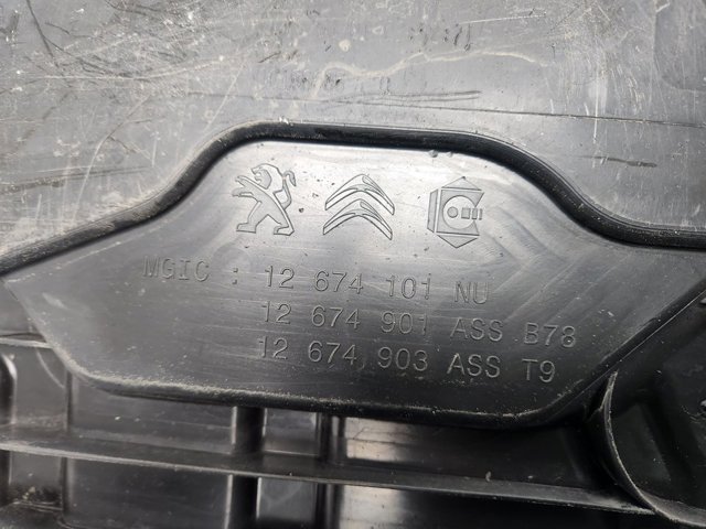 PEUGEOT 12674101 в наличии Кривой Рог