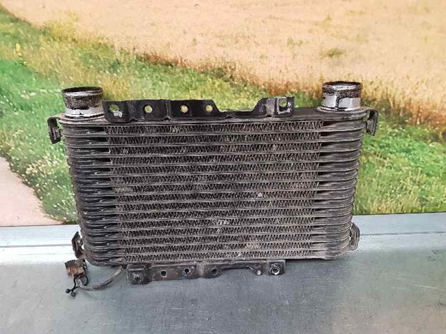 1271000421 Радиатор интеркуллера купить Львов