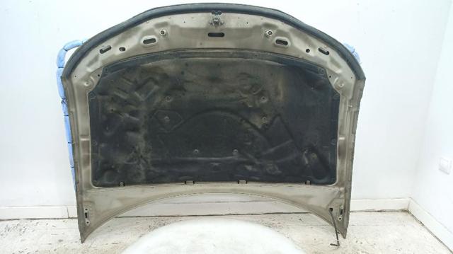 12770109 GM Капот купить в Сумы