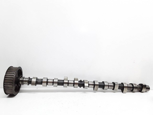 Árvore distribuidora de motor Nissan Patrol Y61