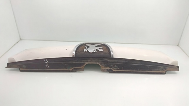 Grelha do radiador Peugeot Boxer 2 244