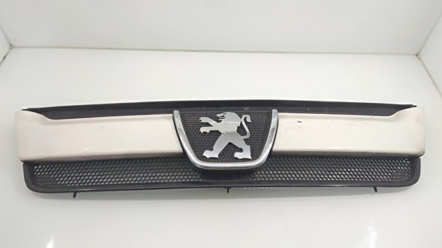 Grelha do radiador Peugeot Boxer 2 244