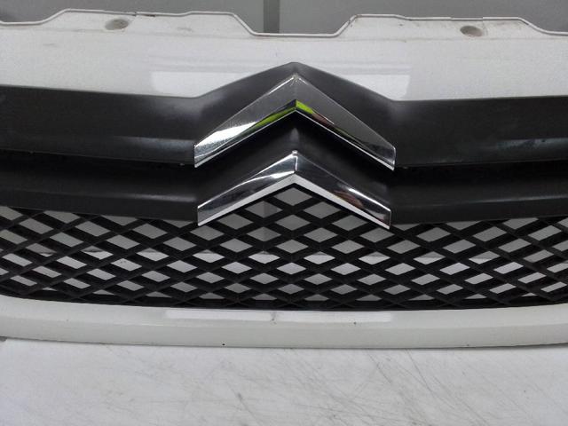 Grelha do radiador Citroen Jumper 250