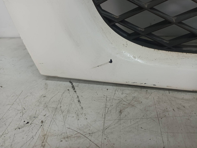 Grelha do radiador Citroen Jumper 250