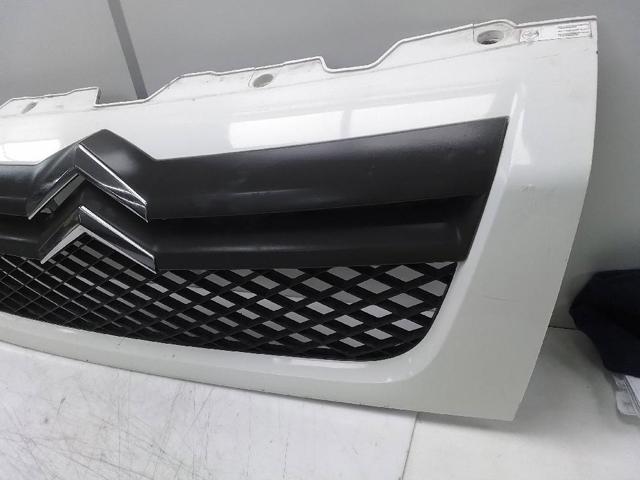 Grelha do radiador Citroen Jumper 250