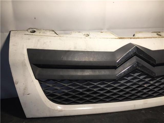 Grelha do radiador Citroen Jumper 250