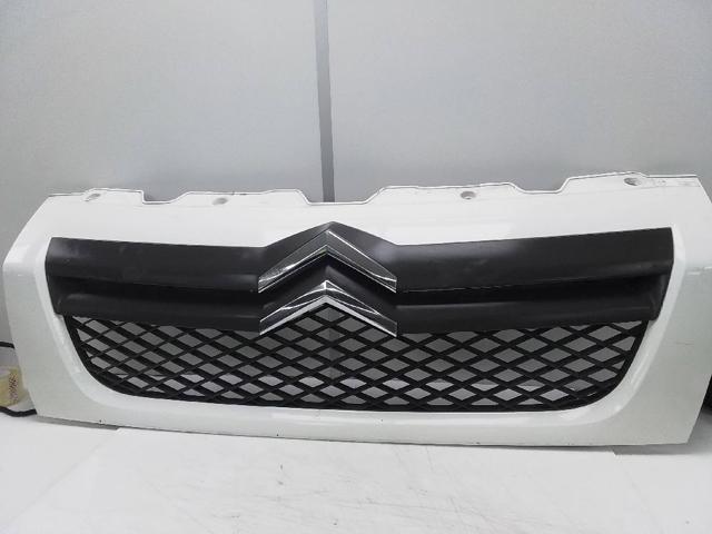 Grelha do radiador Citroen Jumper 250
