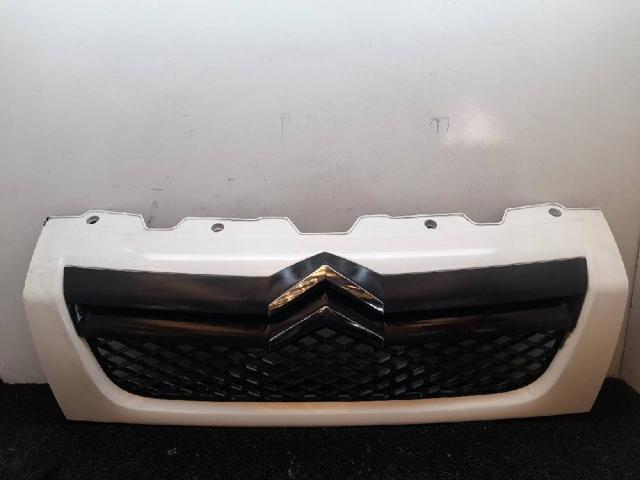 Grelha do radiador Citroen Jumper 250