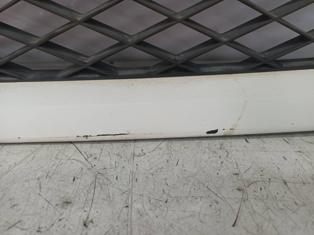 Grelha do radiador Citroen Jumper 250