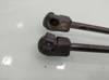 Amortecedor de tampa de porta-malas (de 3ª/5ª porta traseira) 13182537 OPEL