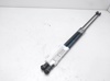 Amortecedor de tampa de porta-malas (de 3ª/5ª porta traseira) 13182537 OPEL