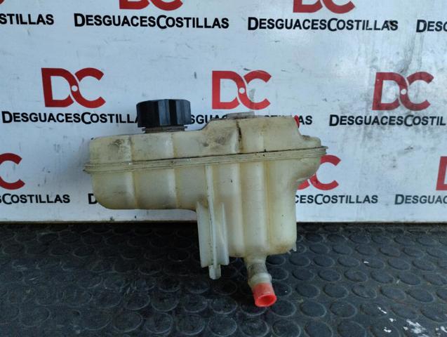 Tanque de expansão do sistema de esfriamento 1323V1 PEUGEOT