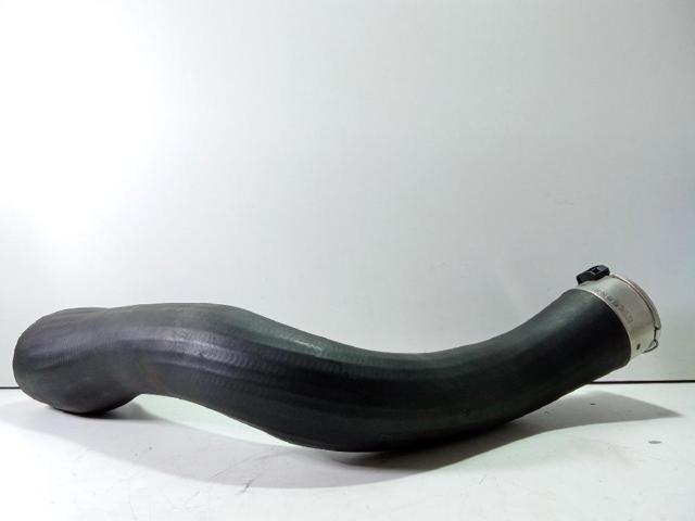 Mangueira (cano derivado) esquerda de intercooler 13242121 OPEL