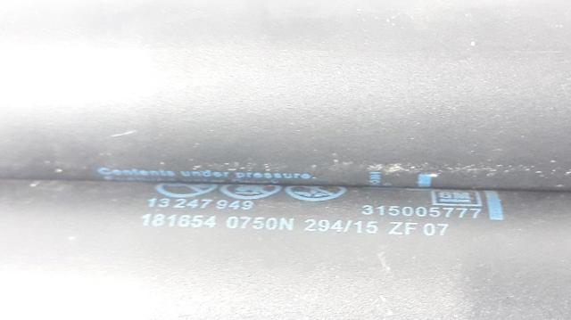 13247949 OPEL Амортизатор крышки багажника (двери 3/5-й задней) купить в Запорожье