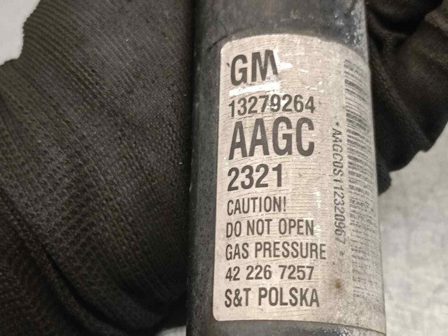 OPEL 13279264 Амортизатор задний в наличии Одесса