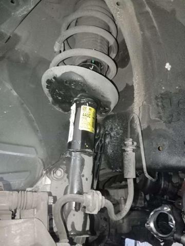 13310102 OPEL Амортизатор передний правый купить в Запорожье