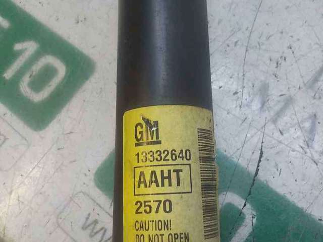 13332639 GM Амортизатор задний купить в Тернополь
