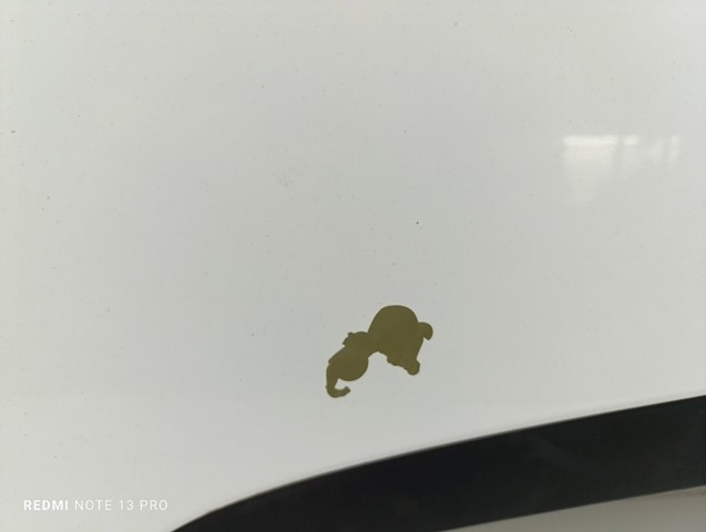 13350060 OPEL Капот купить в Николаев