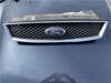 Grelha do radiador 1371893 FORD