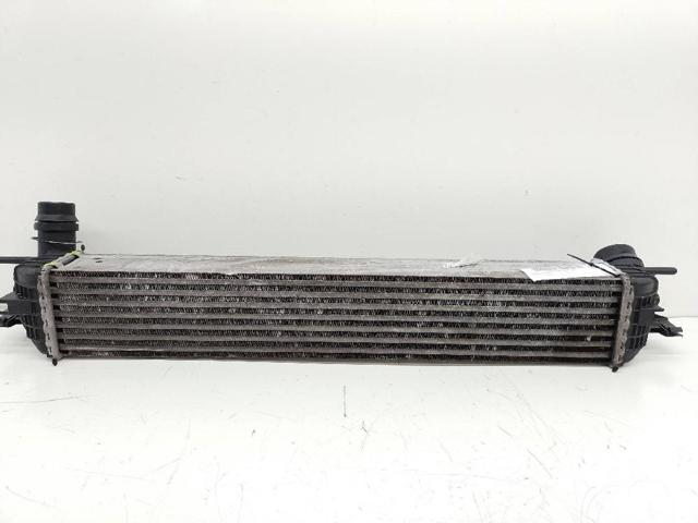 144610001N RENAULT Радиатор интеркуллера купить в Сумы