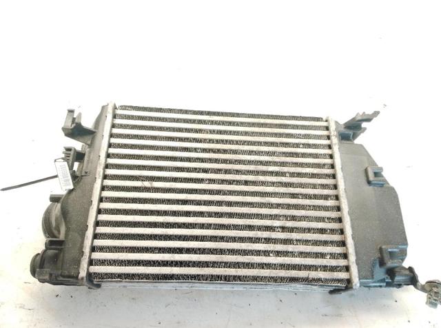 RENAULT 144614EA0A Радиатор интеркуллера в наличии Ужгород