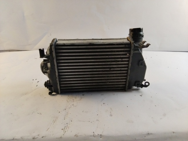 144614EA1A Renault (RVI)